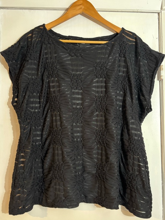 Nue Options Tops - Nue Options Black and sheer textured Women's Top